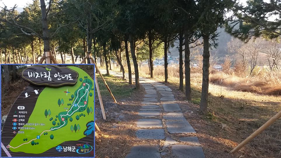 남해군 비자림 산책로 조성 … 지역명소 기대