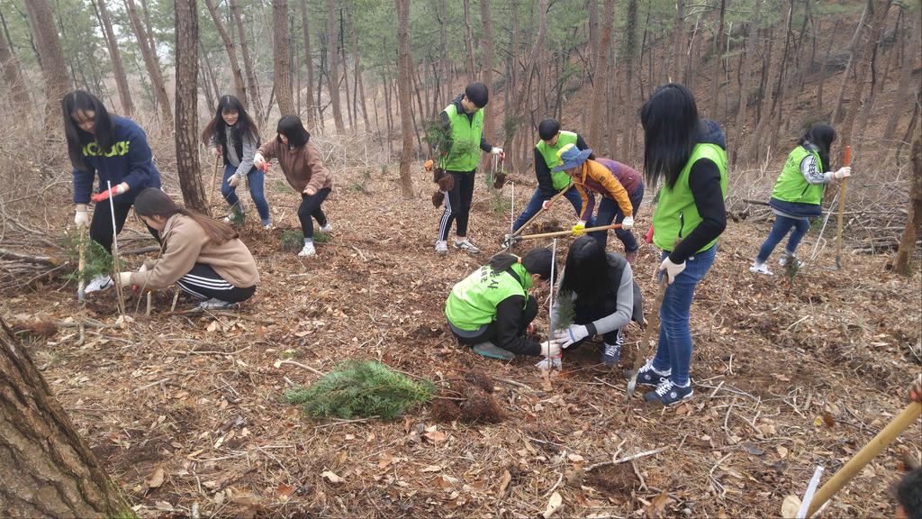 남해군, 청소년 희망 나눔 나무 심기 펼쳐