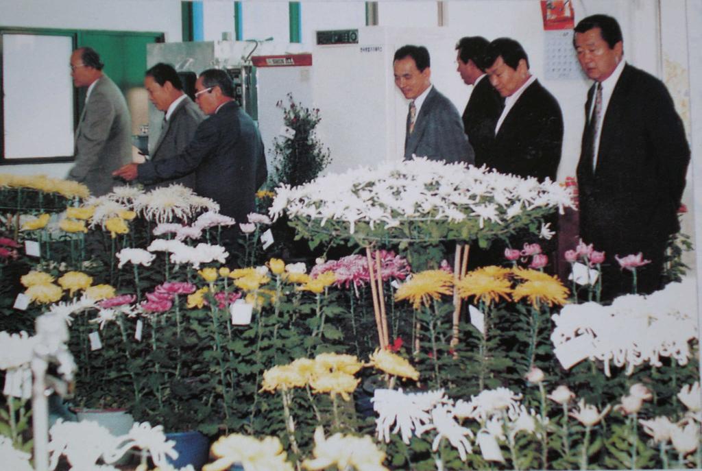 남해제일고등학교 국화전시회(1996....