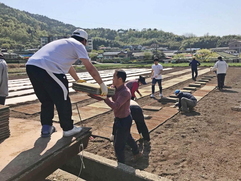 남해군 삼동면 새마을지도자회, 휴경농지 벼 식재 모판 작업