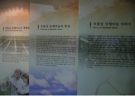 보물섬 남해마늘 우수성 홍보