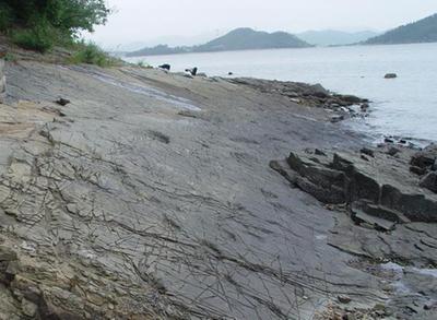 남해가인리화석산지1