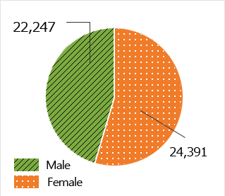 Male:22,247,Female:24,391