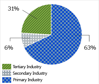 Primary Industry 63%,Secondary Industry 6%, Tertiary Industry 31%