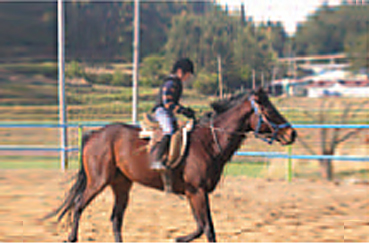 Horse riding Image