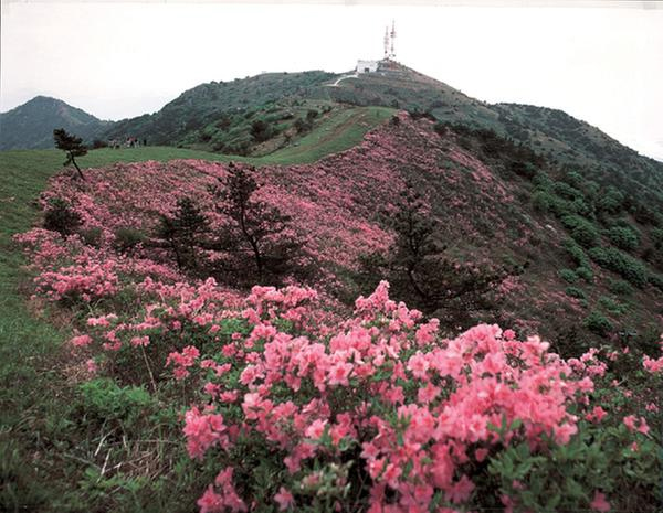 Mt. Mangunsan Image